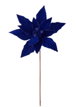 Blue velvet poinsettia stem