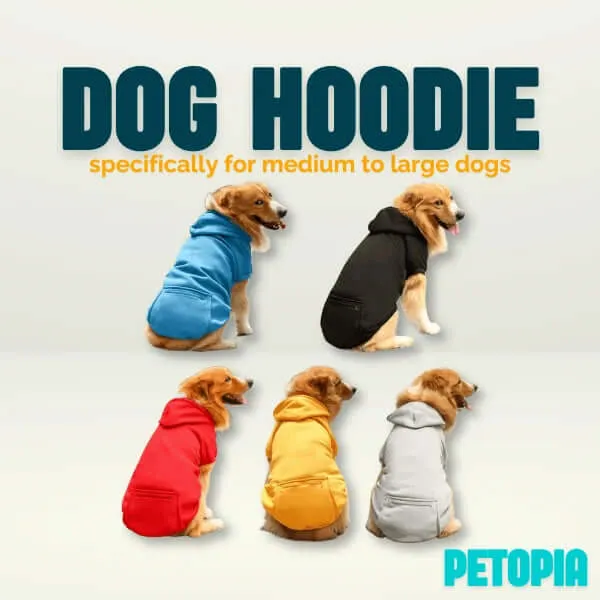 Warm Dog Hoodies for Medium-Large Dogs