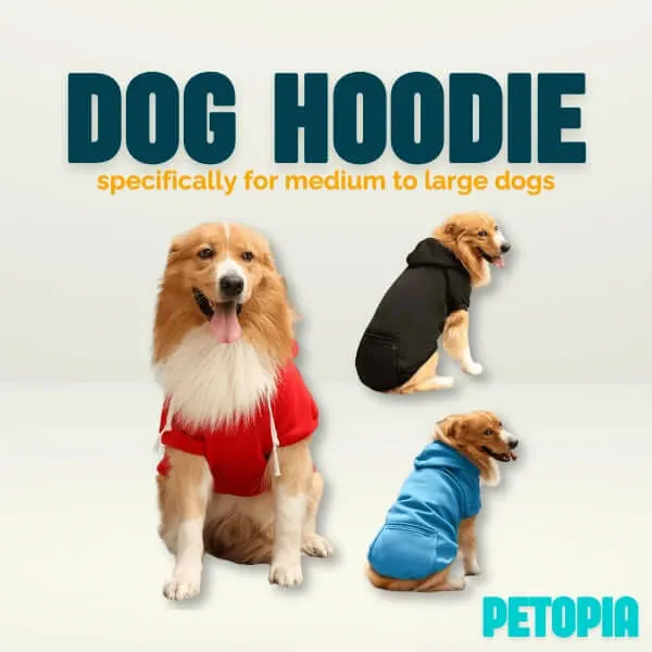 Warm Dog Hoodies for Medium-Large Dogs