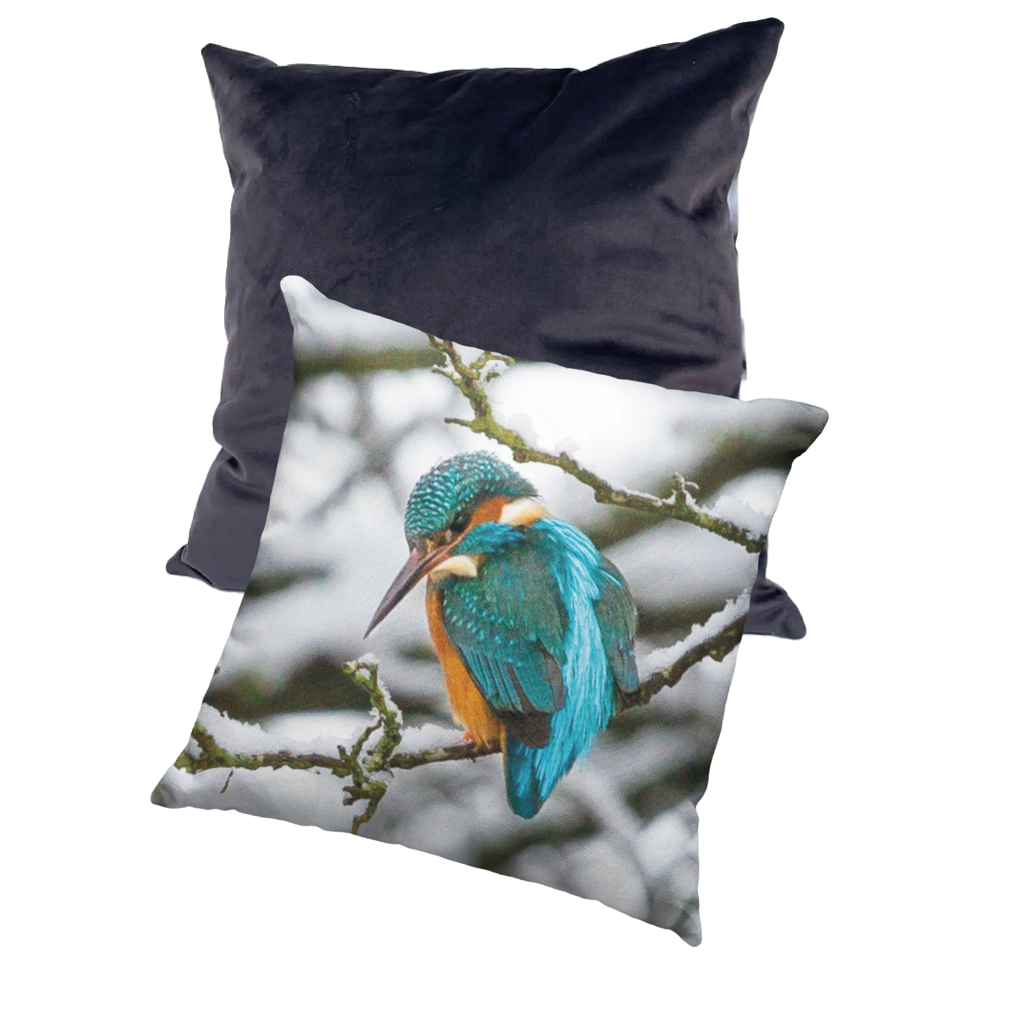 Winter Kingfisher Cushion