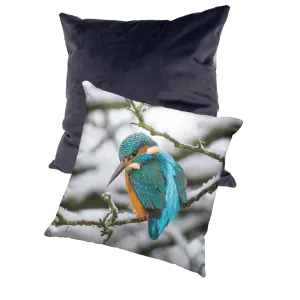 Winter Kingfisher Cushion